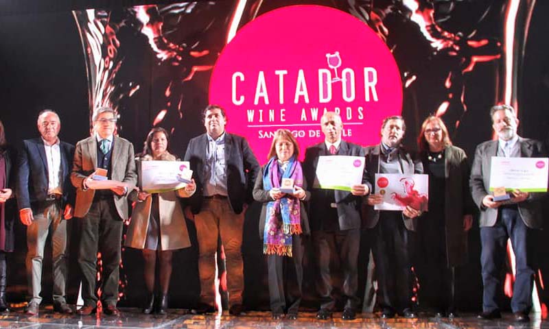 Vinos campesinos de Chépica y Santa Cruz ganan medalla de oro en Catador Wine Awards 2019
