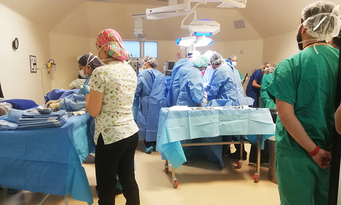 Hospital Regional Rancagua lidera extracción de órganos a nivel nacional