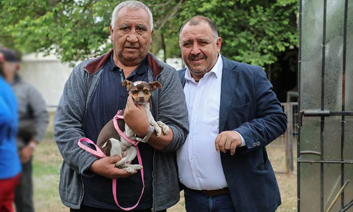 Graneros: Municipio realiza esterilizaciones gratuitas a mascotas