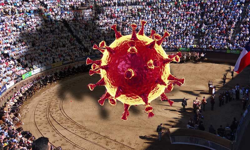 ¿Coronavirus o tradición huasa? Confirman Campeonato Nacional de Rodeo en Rancagua