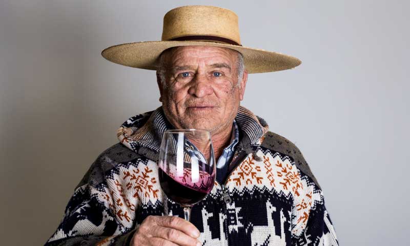 Asociatividad logra exportación de vinos patrimoniales de Colchagua