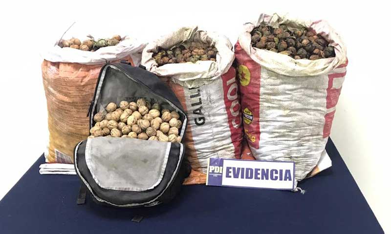 PDI detuvo tres personas por robo de 120 kilos de nueces en San Fernando