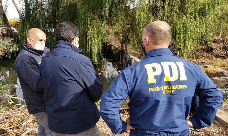 PDI y fiscalía investigan muerte masiva de peces en estero de Peralillo