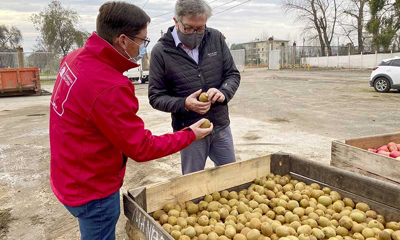 Agricultores donan más de 10 toneladas de frutas para comedores solidarios