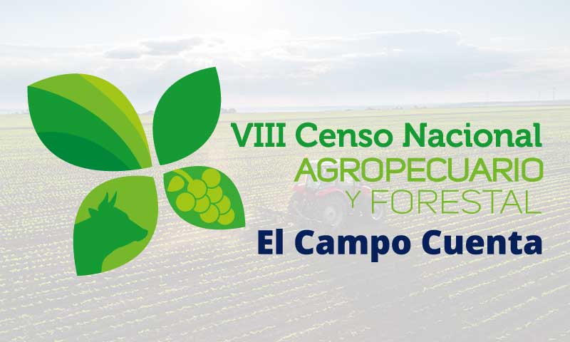 VIII Censo Nacional Agropecuario y Forestal 2020 abre nuevamente postulaciones