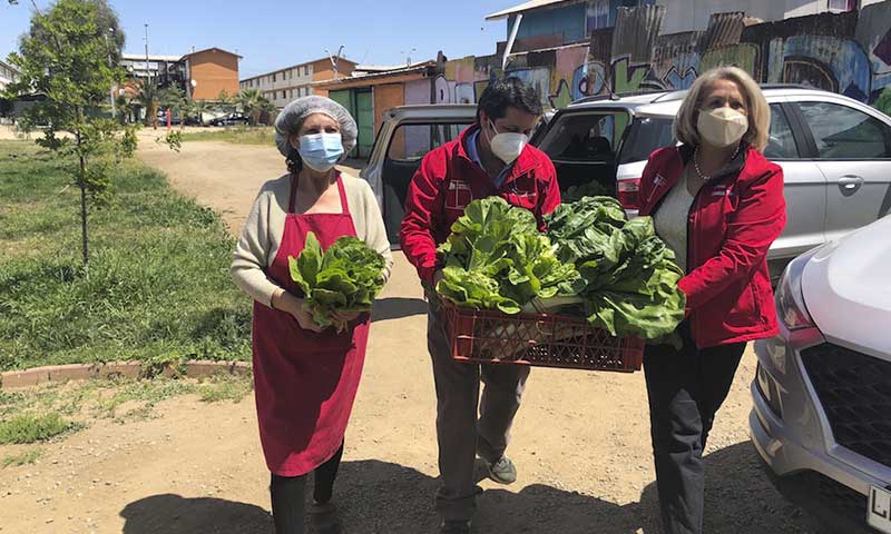 Entregan hortalizas a Comedor Solidario de Baltazar Castro de Rancagua