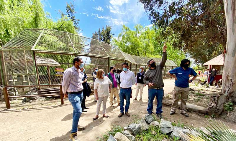Parque Safari de Rancagua abre sus puertas tras cerca de 7 meses cerrado