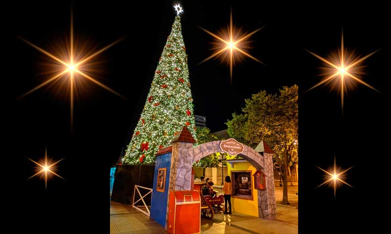 Árbol de Navidad de la Plaza de Los Héroes de Rancagua vuelve a brillar