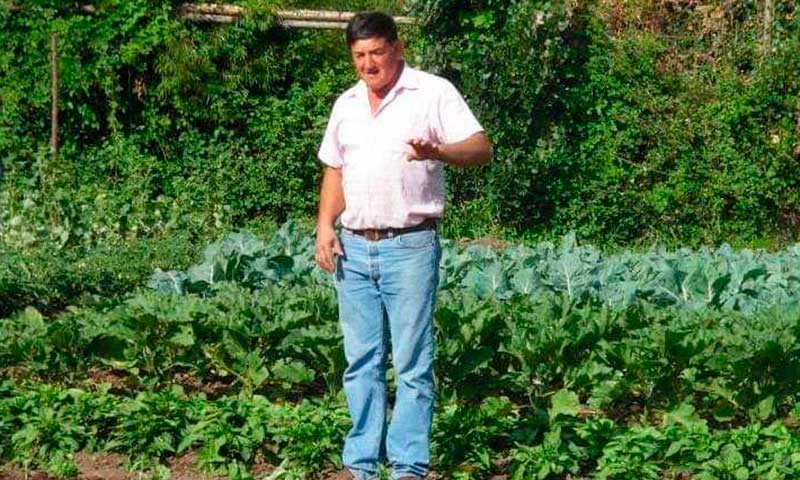 Pequeño agricultor de San Vicente cuenta cómo se transformó en héroe de la alimentación