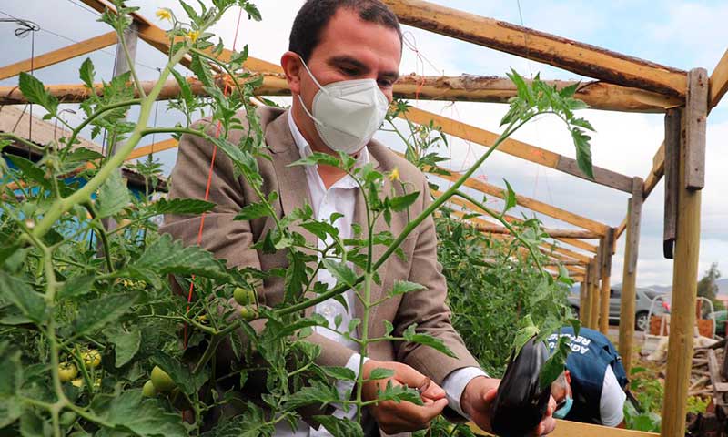 Autoridades conocen experiencia de uso de tecnologías en la producción de hortalizas orgánicas