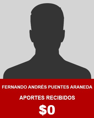 Fernando Andrés Puentes Araneda