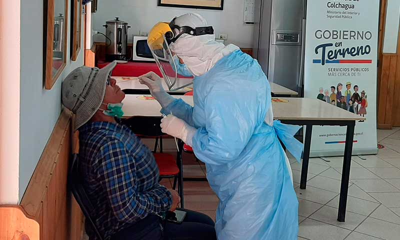 Gobierno en terreno realiza operativo de test PCR en trabajadores agrícolas de San Fernando