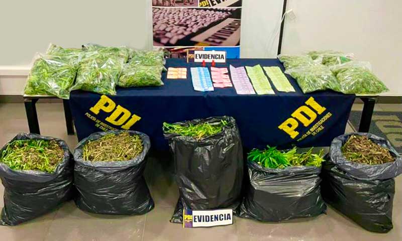 PDI incautó 34 kilos de marihuana desde una vivienda en Santa Cruz