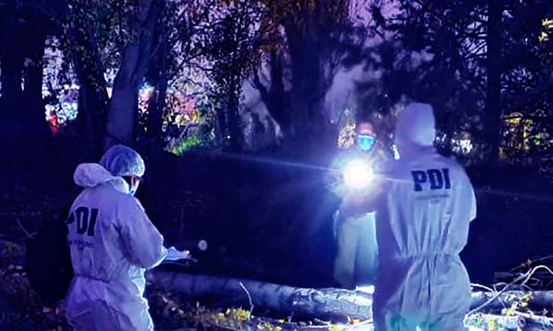 Hombre muere mientras se encontraba talando árboles en Olivar