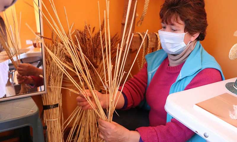 Artesanas de Indap que ganaron Sello de Excelencia buscan mantener tradición del trenzado de paja de trigo