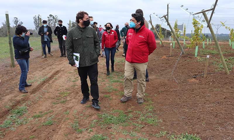 Corfo lanza programa para impulsar proyectos tecnológicos vinculados a la agricultura en O’Higgins