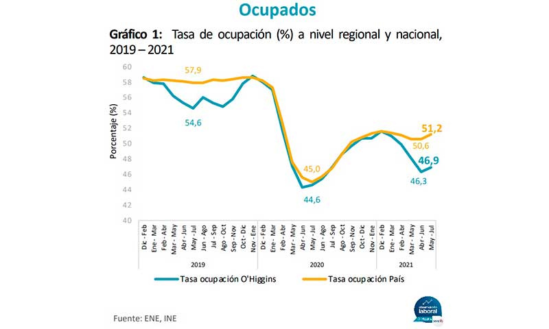 Tasa de ocupación regional aumentó en la Región de O’Higgins