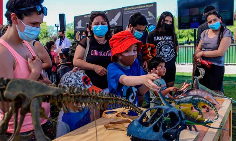 Muestra “Dinosaurios y gonfoterios en O’Higgins” se presentará en San Vicente de Tagua Tagua