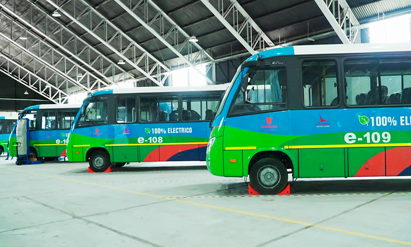 buses hidrogeno verde