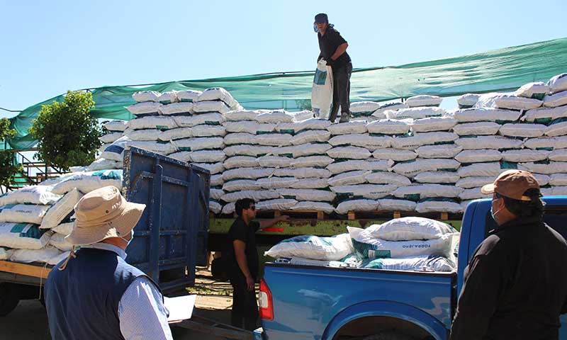 Pequeños agricultores de Quinta de Tilcoco reciben ayuda con forraje afectados por la sequía