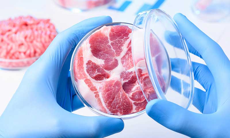 carne in vitro