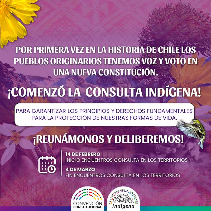 Consulta Indígena de la Convención Constitucional llegará a territorios con procesos de diálogo y deliberación