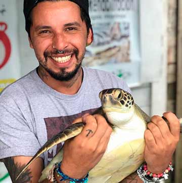Lanzarán manual de rehabilitación de tortugas marinas