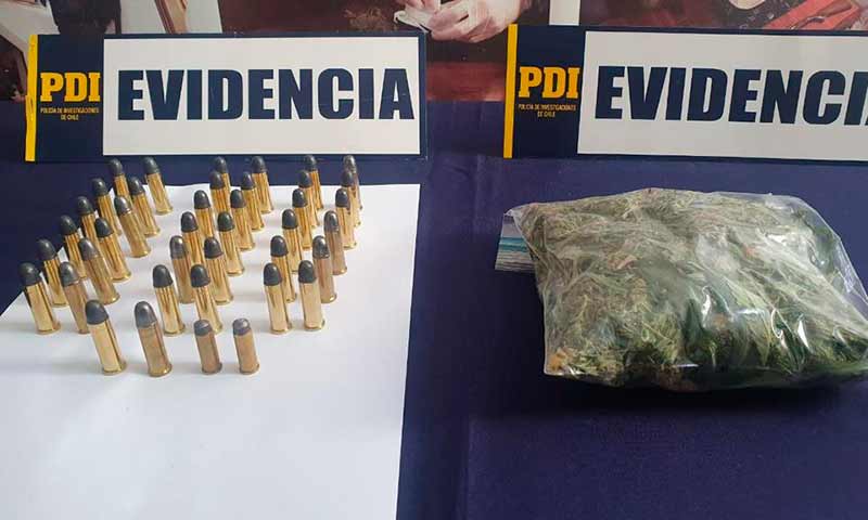 PDI encuentra marihuana y municiones en vivienda de la comuna de Malloa
