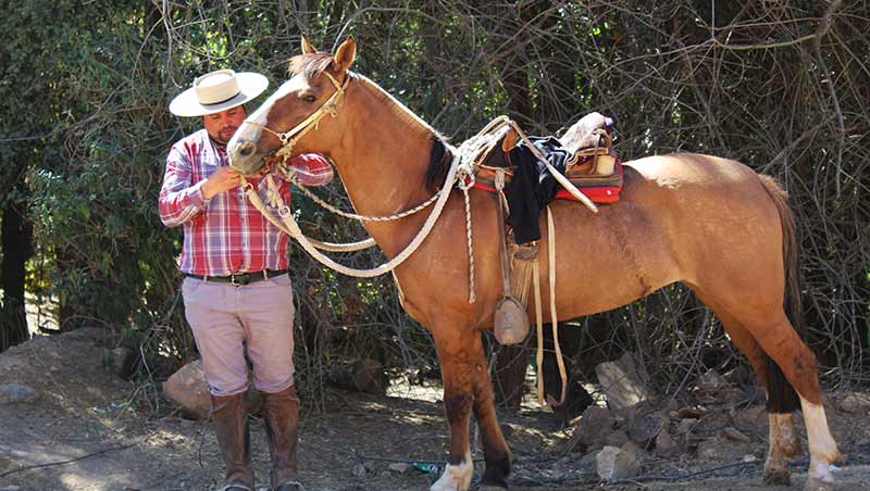 En Pumanque cabalgata "Siguiendo la ruta de Manuel Rodríguez" rememoró el camino del prócer