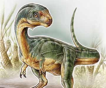 dinosaurio chilesaurus diegosuarezi