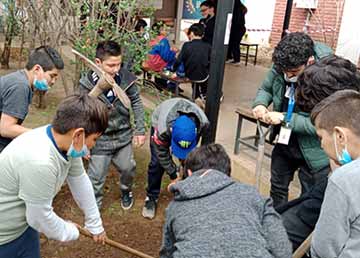 Familias de Rancagua y San Vicente aprenden sobre huertos urbanos
