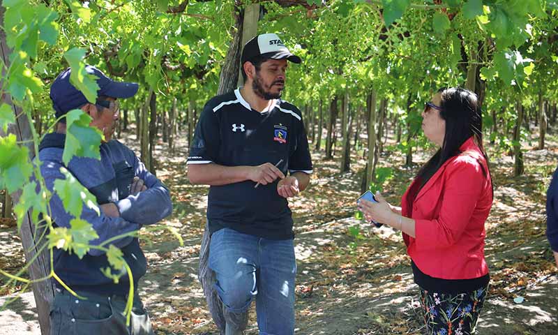 Gobierno fiscaliza condiciones laborales de trabajadores agrícolas en Nancagua