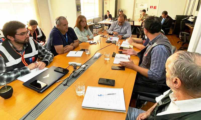 Autoridades regionales coordinaron acciones para evitar dispersión de la Gripe Aviar que afectó a Agrosuper