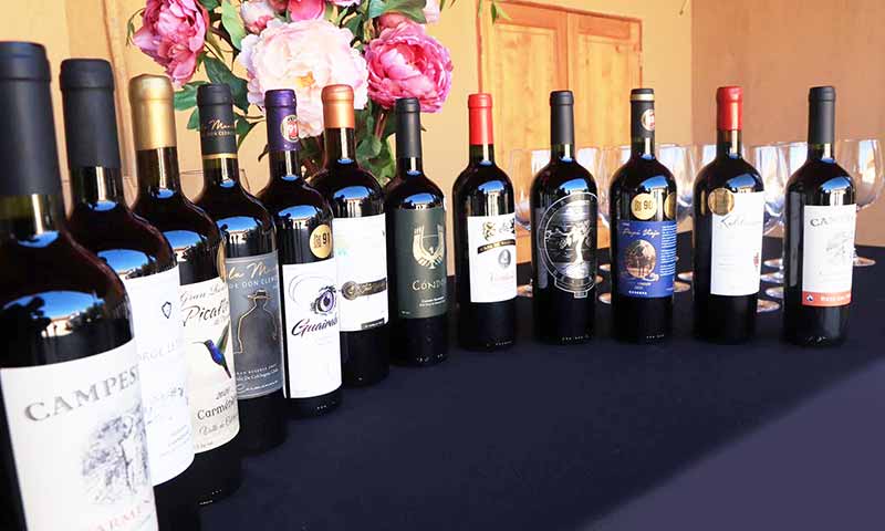 Con muestra de vinos ancestrales se realizó el lanzamiento de Expo Viñas Campesinas en Chépica