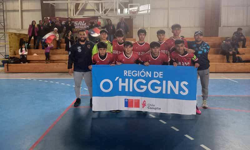Región de O'Higgins vence a sus pares de La Araucanía en partido por cuartos de final