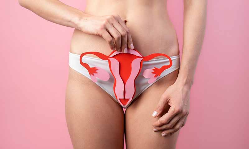 menstruacion ovarios