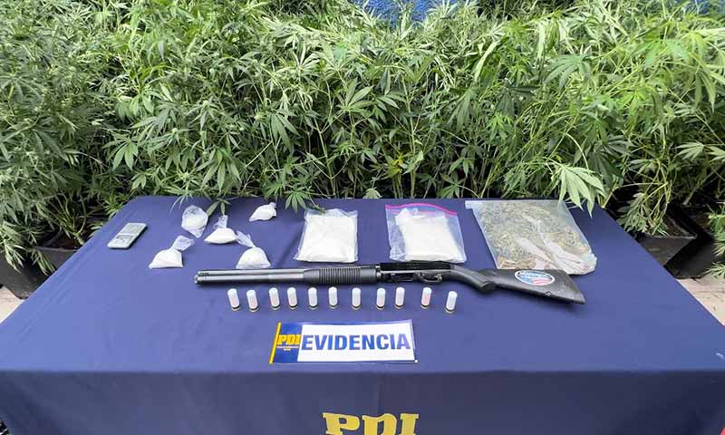 En Rengo incautan droga avaluada en más de 185 millones de pesos tras intenso operativo policial