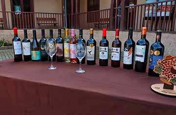 Pequeños productores presentarán sus mejores vinos en la Expo Viñas Campesinas de Colchagua 2023