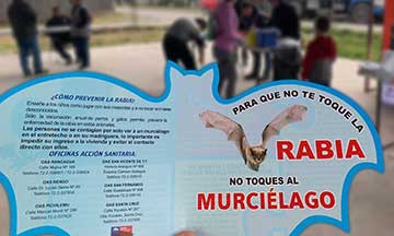 Murciélagos con Rabia fueron detectados en Rancagua, San Vicente y San Fernando