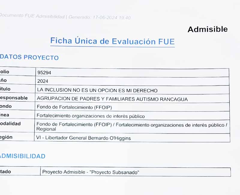 Agrupación Autismo Rancagua responde a seremi de Gobierno tras exclusión de su proyecto en FFOIP