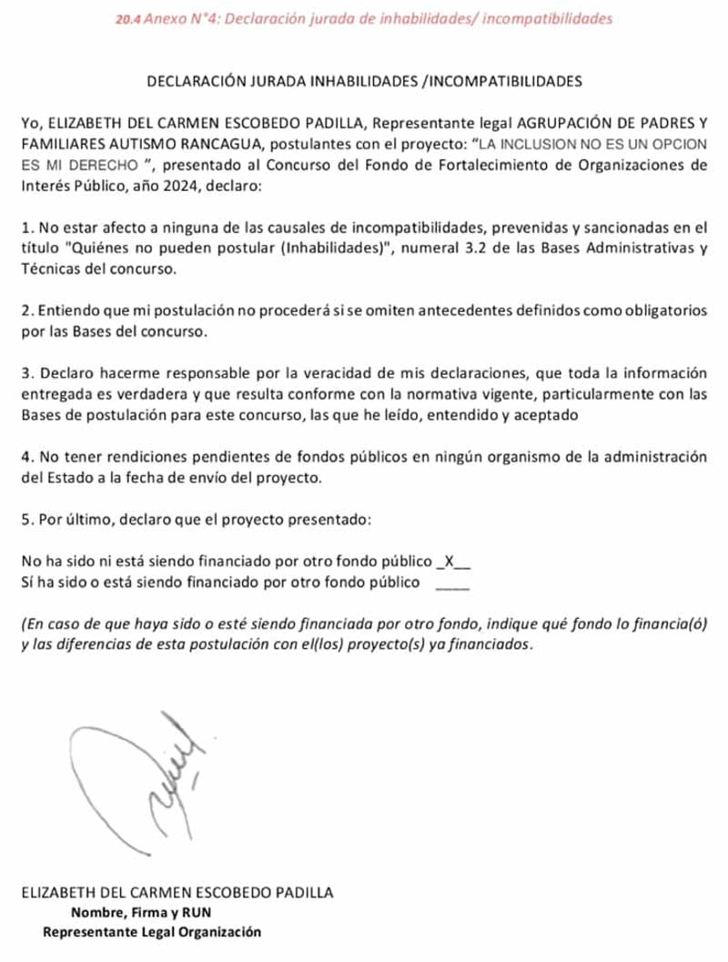 Agrupación Autismo Rancagua responde a seremi de Gobierno tras exclusión de su proyecto en FFOIP