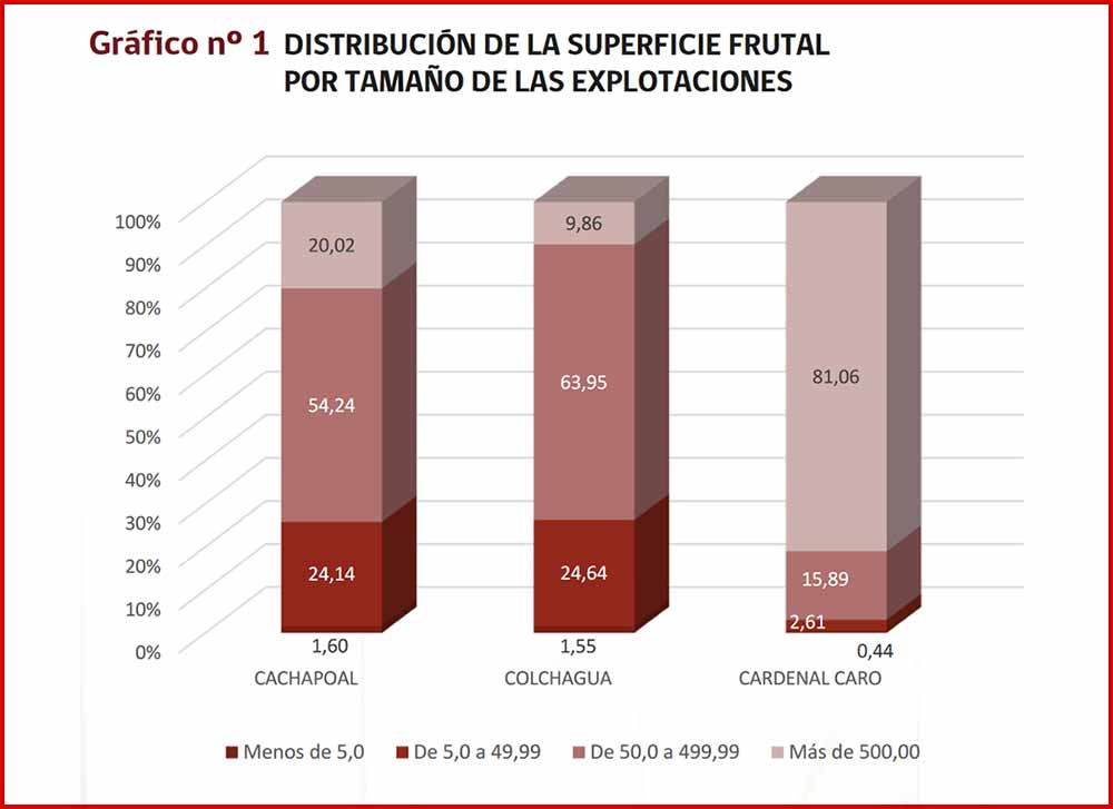 Catastro 2024 revela aumento de casi 4 mil hectáreas en superficie frutal de O’Higgins