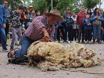 Fiesta del Cordero en San Fernando cautivó a más de 5 mil asistentes