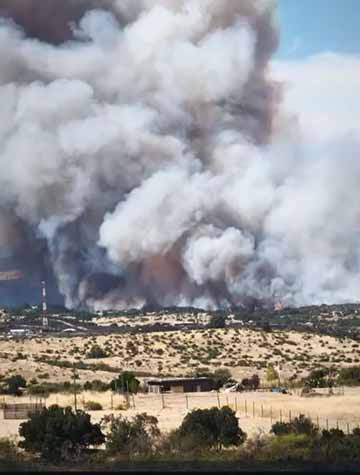 Incendio forestal en Litueche afecta 100 hectáreas y amenaza numerosas viviendas