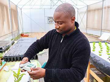 Académico de la UOH lidera investigaciones para mejorar germinación de especies nativas y resiliencia del palto