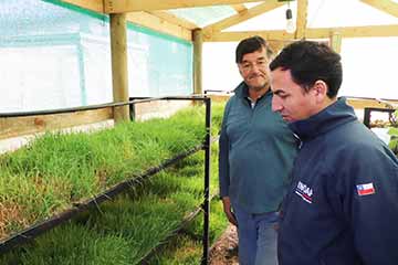 Agricultor de San Vicente es reconocido como Faro Agroecológico por su compromiso con la agricultura sustentable