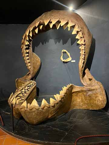 Museo Colchagua celebra 30 años como referente cultural e histórico de Sudamérica