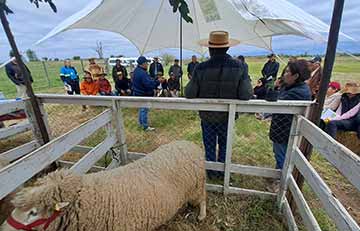 Productores participaron en Día de Campo INIA Hidango 2025