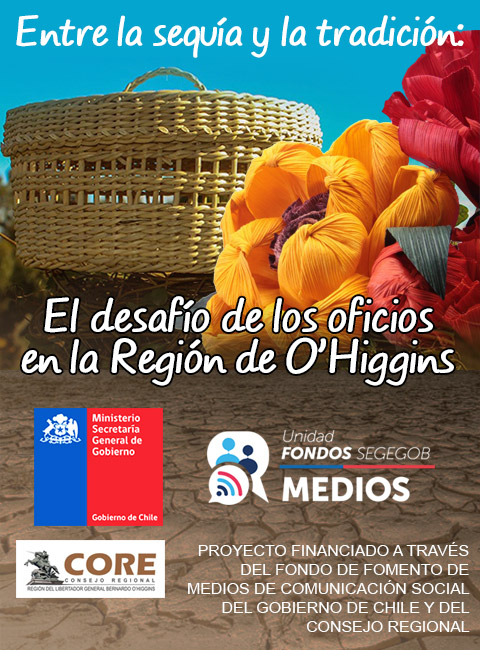 banner FFMCS sidebar