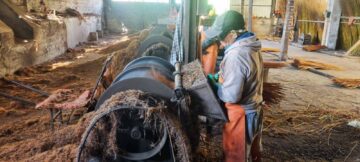 osvaldo sandoval mimbre